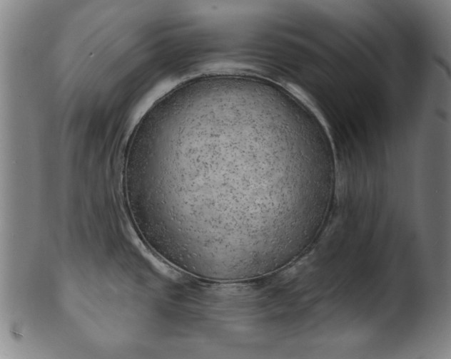 X0000101471437200807211327