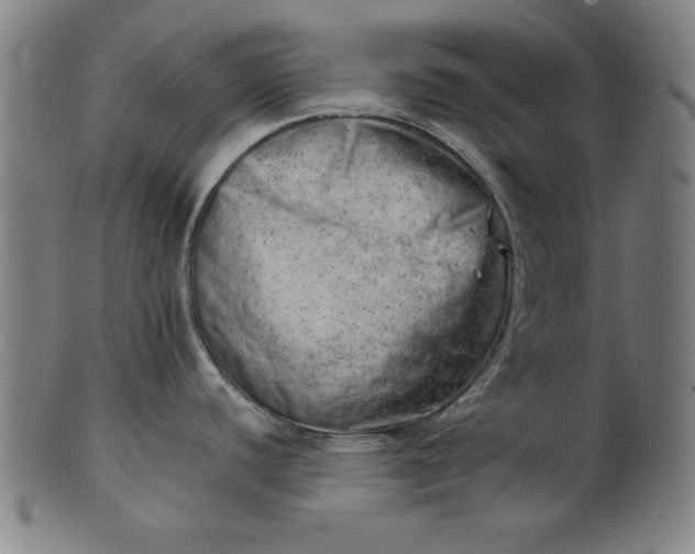 X0000101471440200807211327