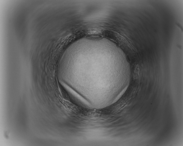 X0000101471441200807211326