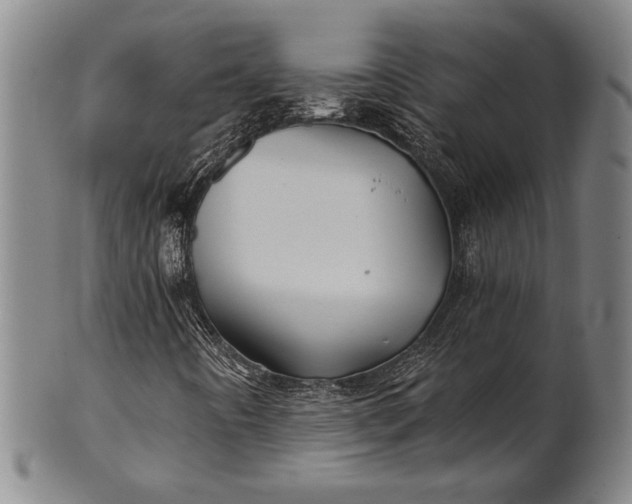 X0000101471442200807211326