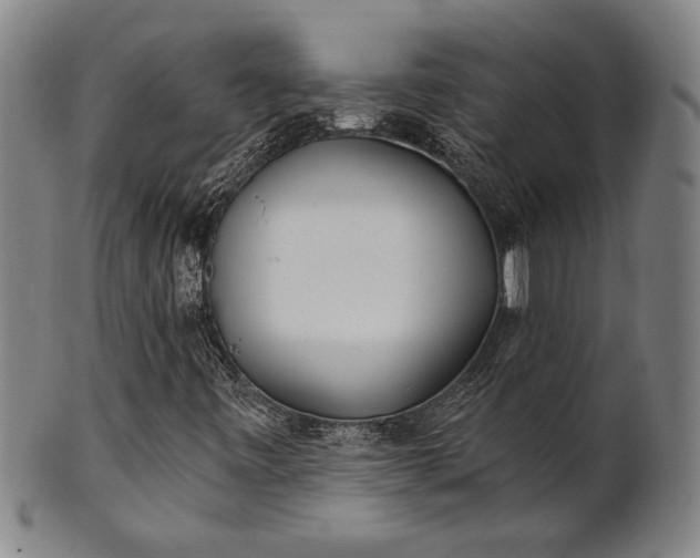 X0000101471443200807211326