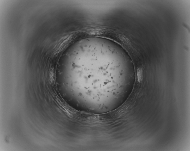 X0000101471444200807211326