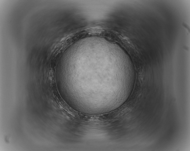 X0000101471445200807211326