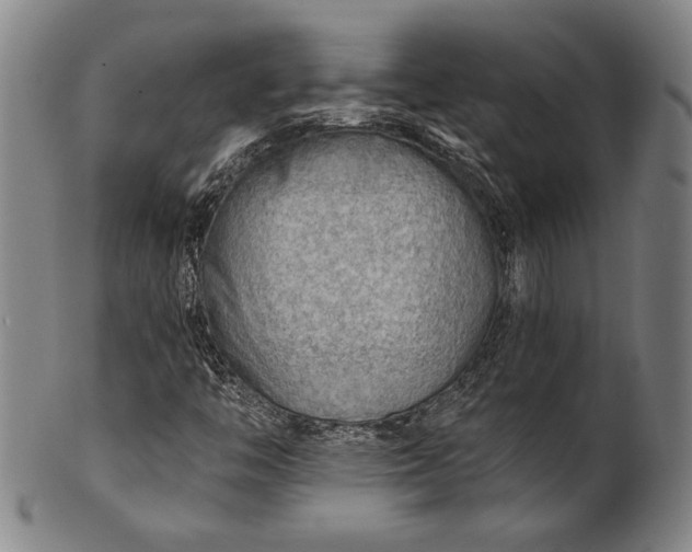 X0000101471446200807211326