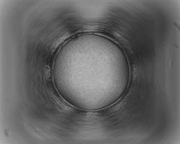 X0000101471449200807211326