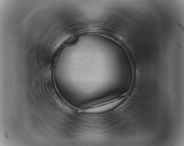 X0000101471450200807211326