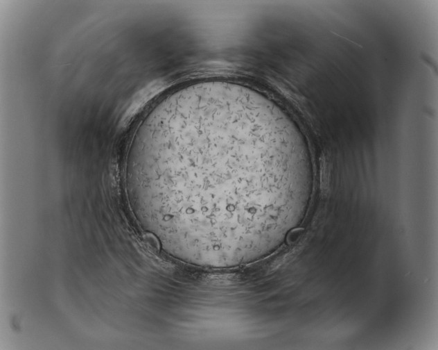 X0000101471453200807211326