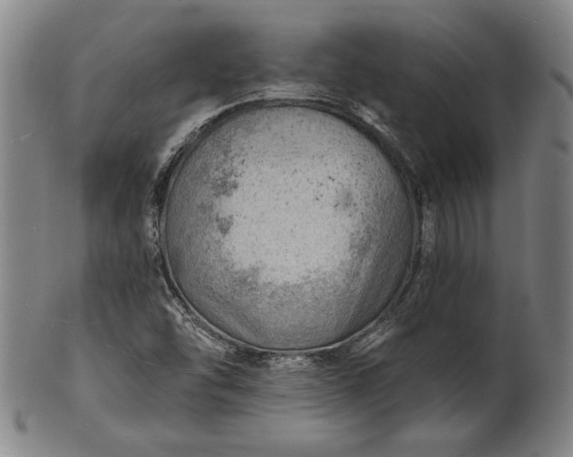 X0000101471454200807211326