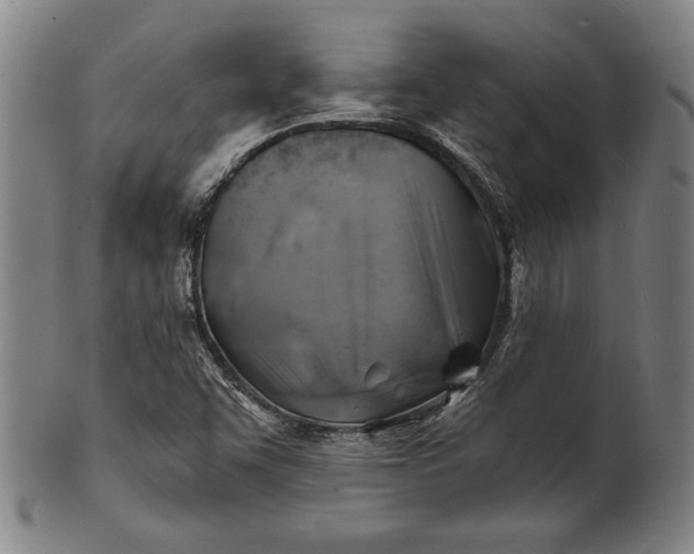 X0000101471455200807211326