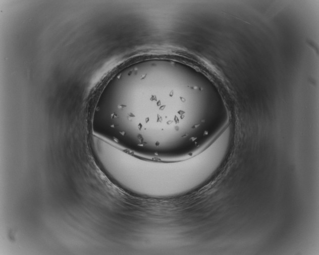 X0000101471456200807211326