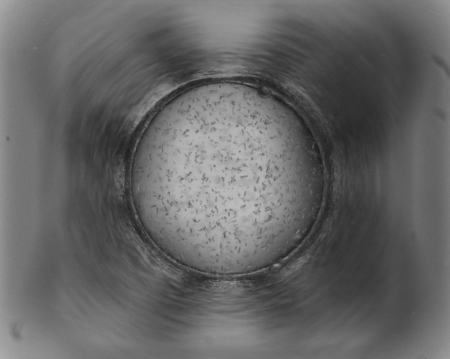 X0000101471457200807211326