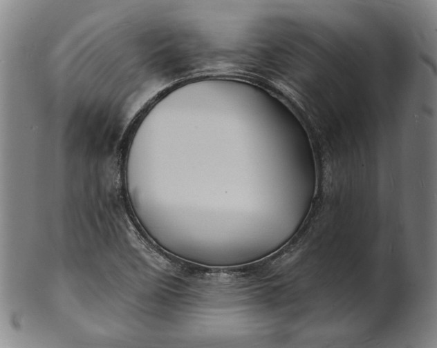 X0000101471458200807211326