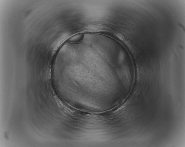 X0000101471459200807211326