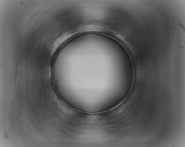 X0000101471461200807211326