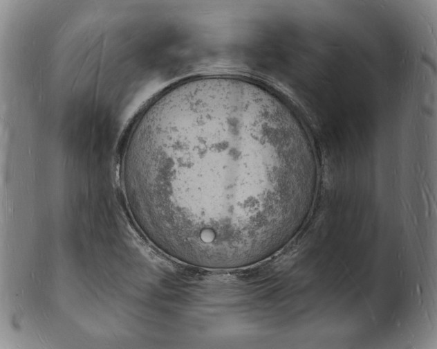 X0000101471462200807211326