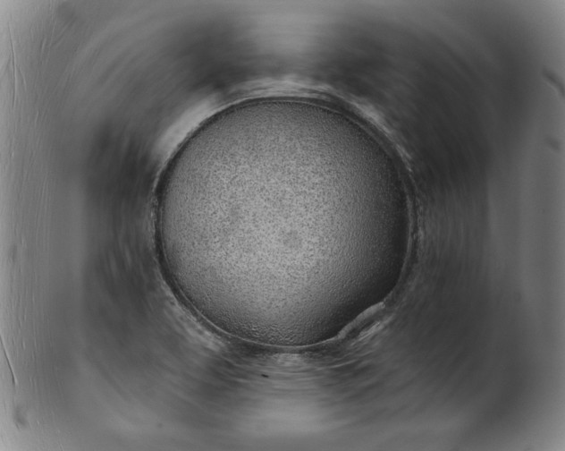 X0000101471463200807211326