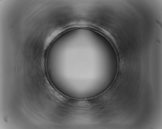 X0000101471464200807211326