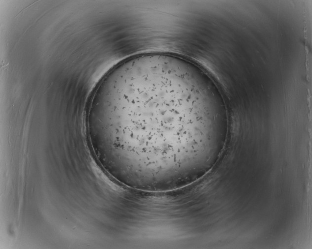 X0000101471468200807211326