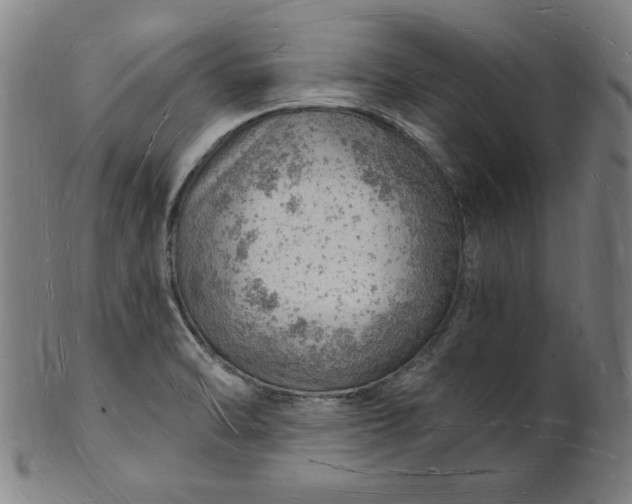 X0000101471470200807211326