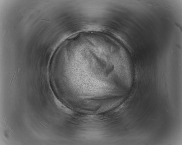 X0000101471471200807211326