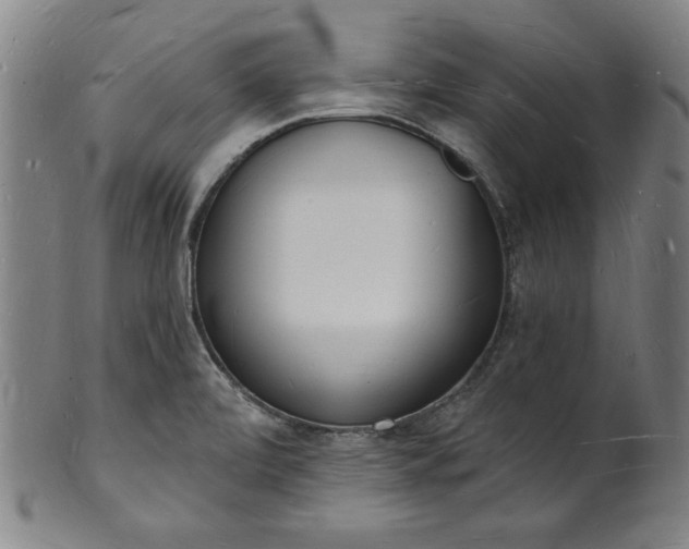 X0000101471472200807211326