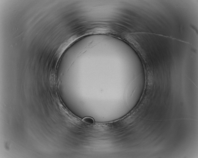 X0000101471473200807211326