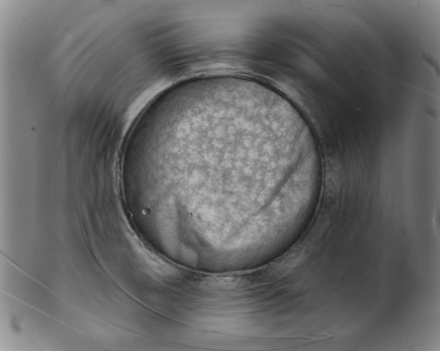 X0000101471474200807211326