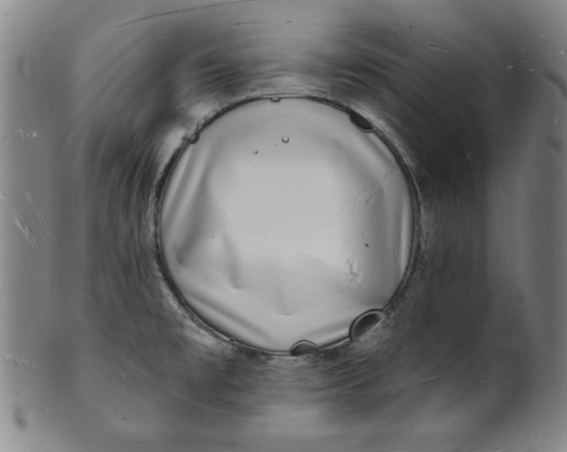 X0000101471477200807211326