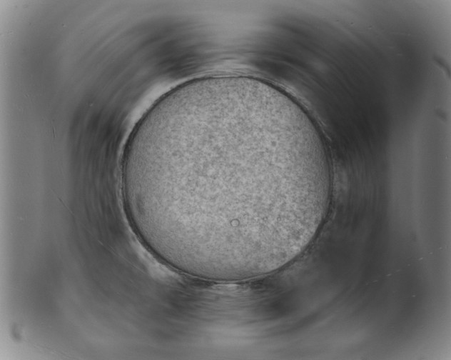 X0000101471478200807211326