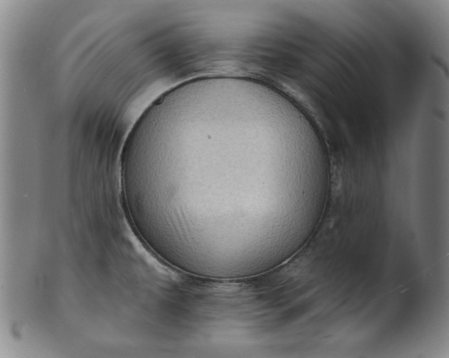 X0000101471479200807211326