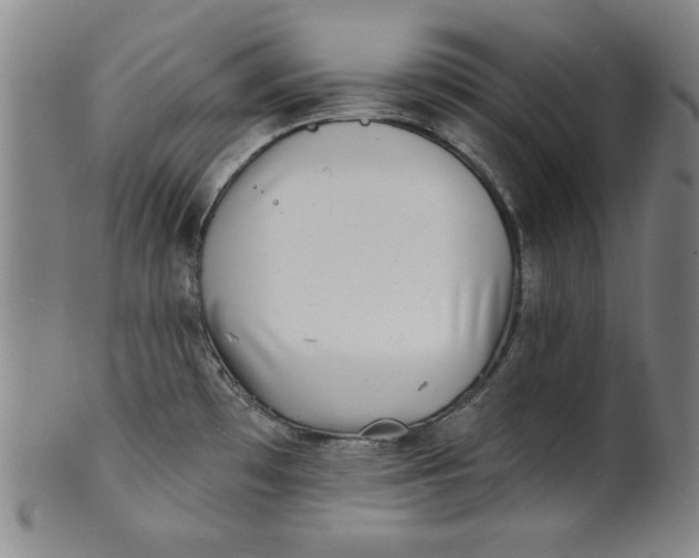 X0000101471481200807211326