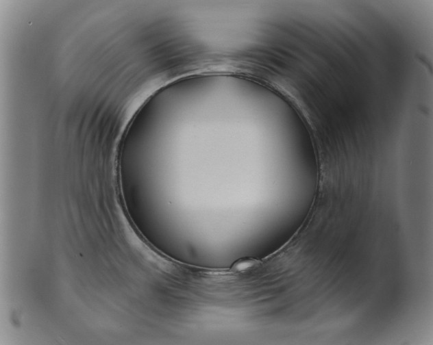 X0000101471483200807211326