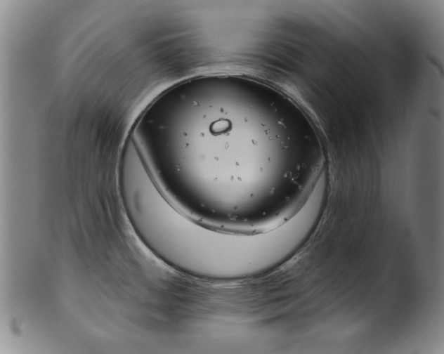 X0000101471484200807211326