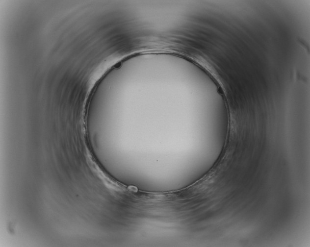 X0000101471485200807211326