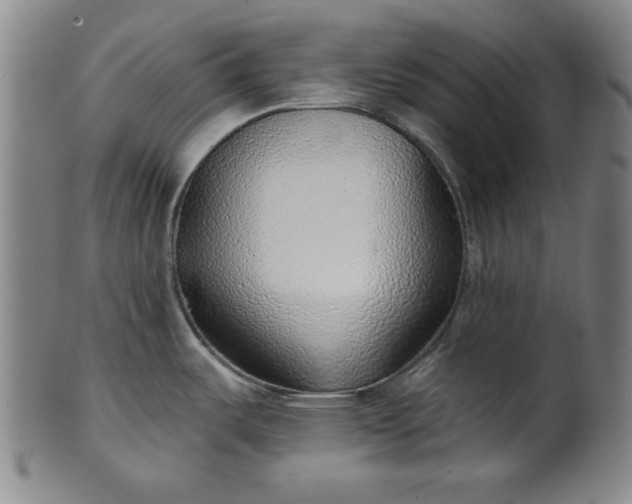 X0000101471487200807211326