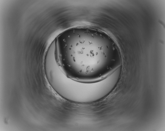 X0000101471488200807211326