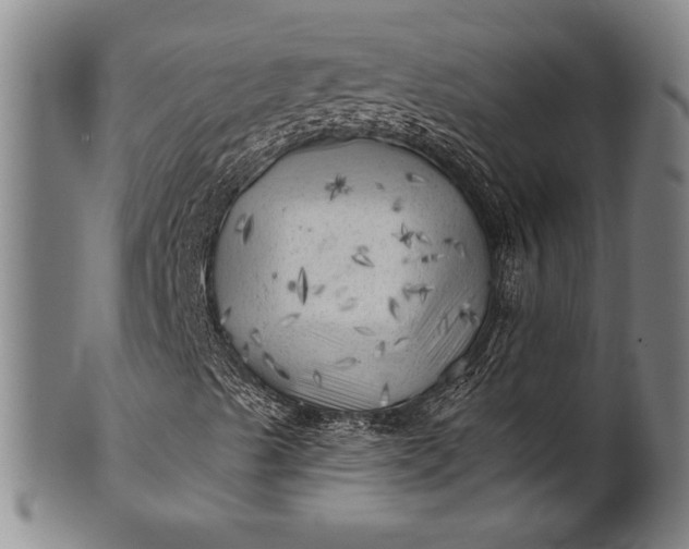 X0000101471489200807211325