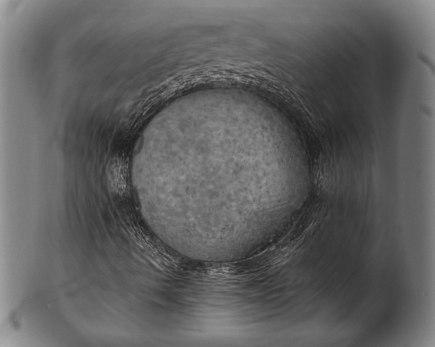 X0000101471490200807211325