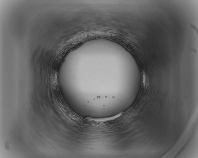 X0000101471492200807211325