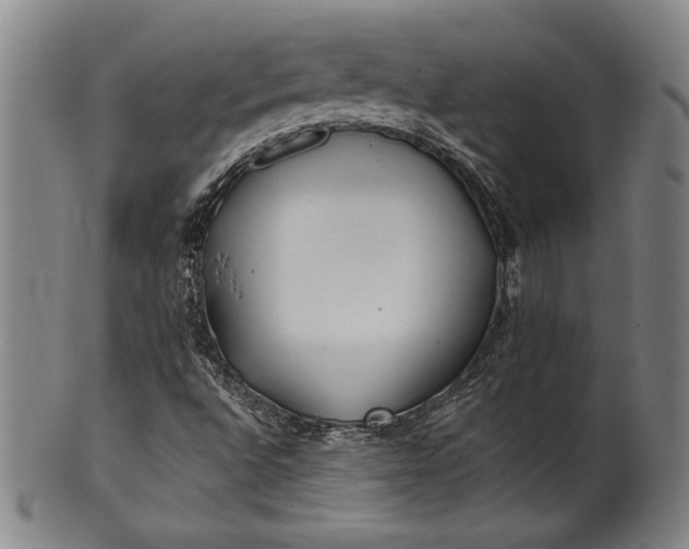 X0000101471496200807211325