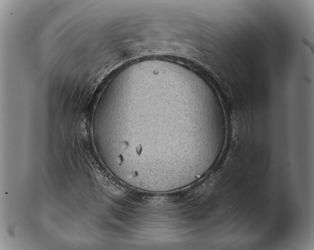 X0000101471497200807211325