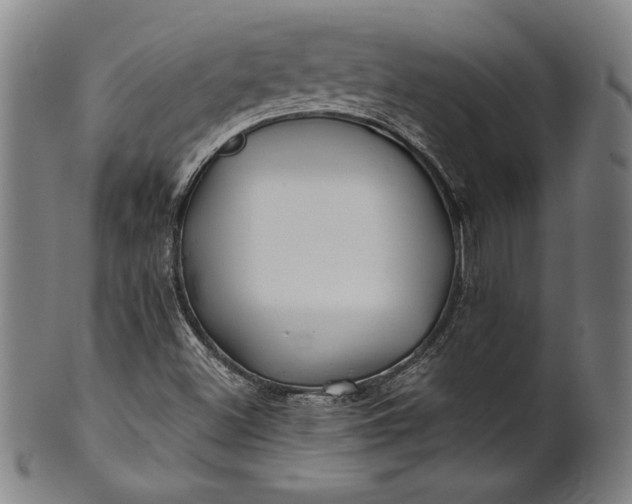 X0000101471500200807211325