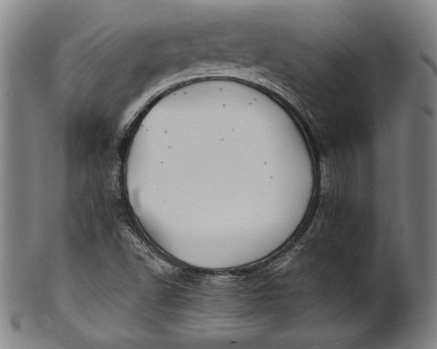 X0000101471502200807211325