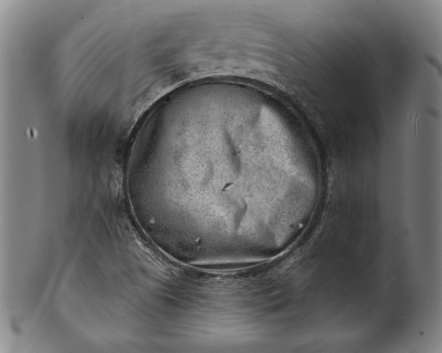 X0000101471505200807211325