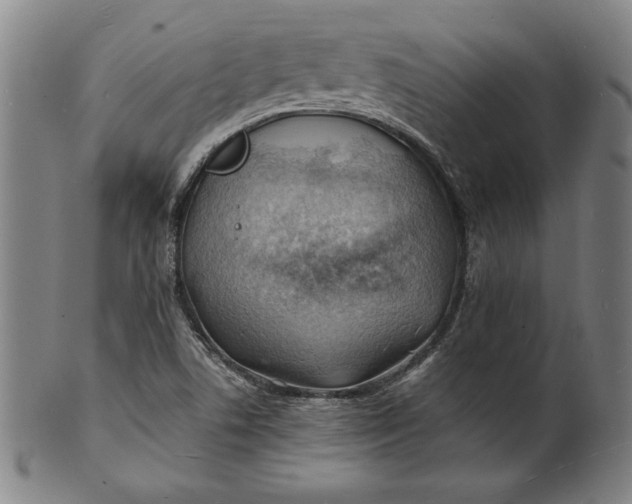 X0000101471506200807211325