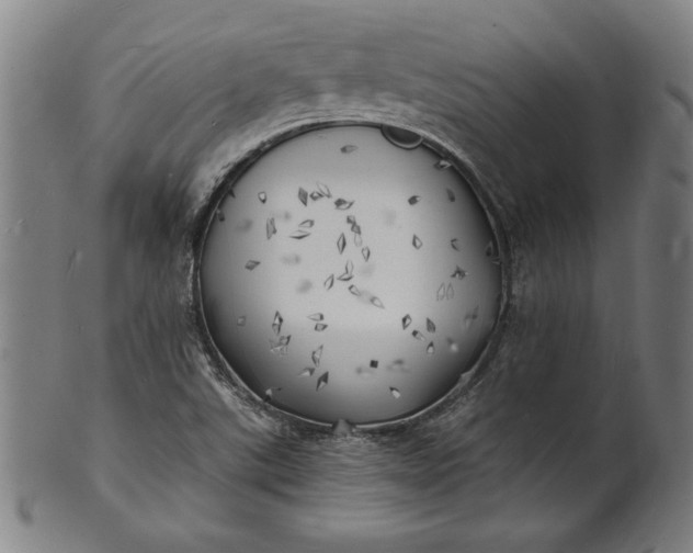 X0000101471507200807211325