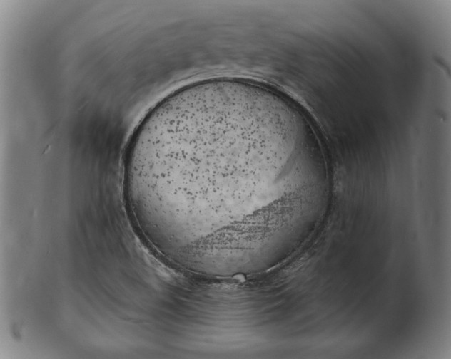 X0000101471508200807211325