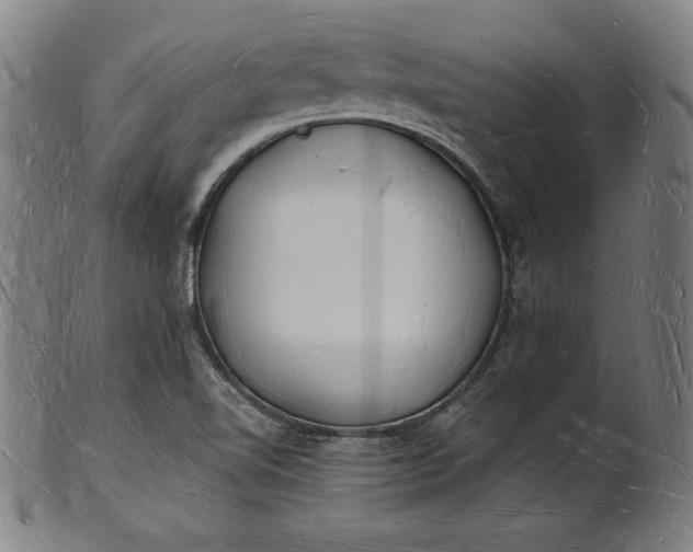 X0000101471510200807211325