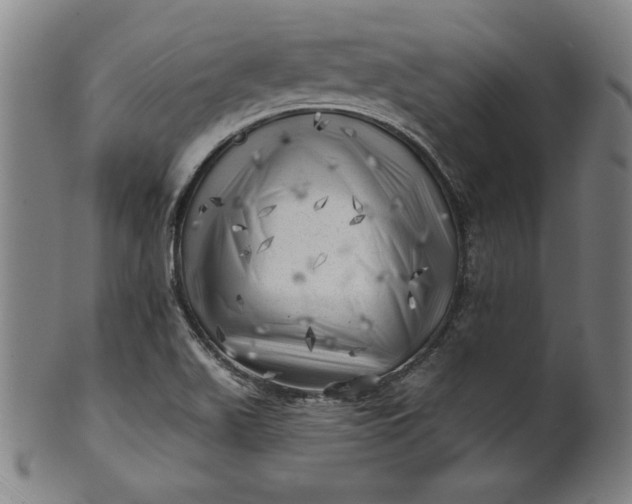 X0000101471511200807211325