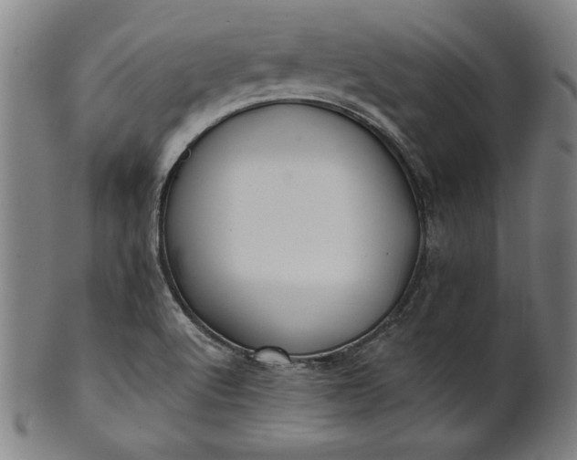 X0000101471512200807211325